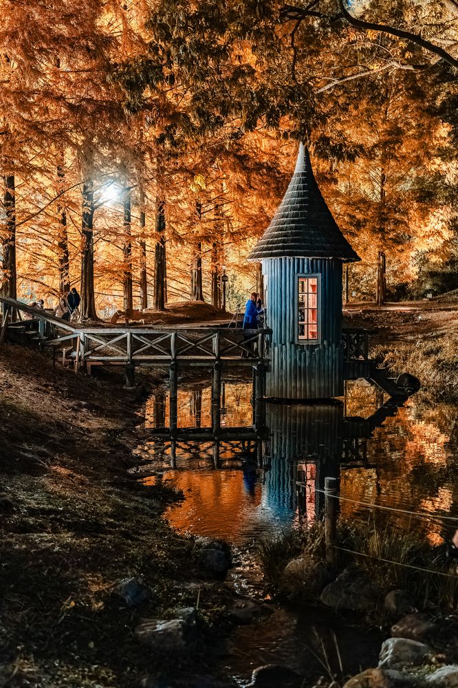 Фотография автора Uesan Aliace