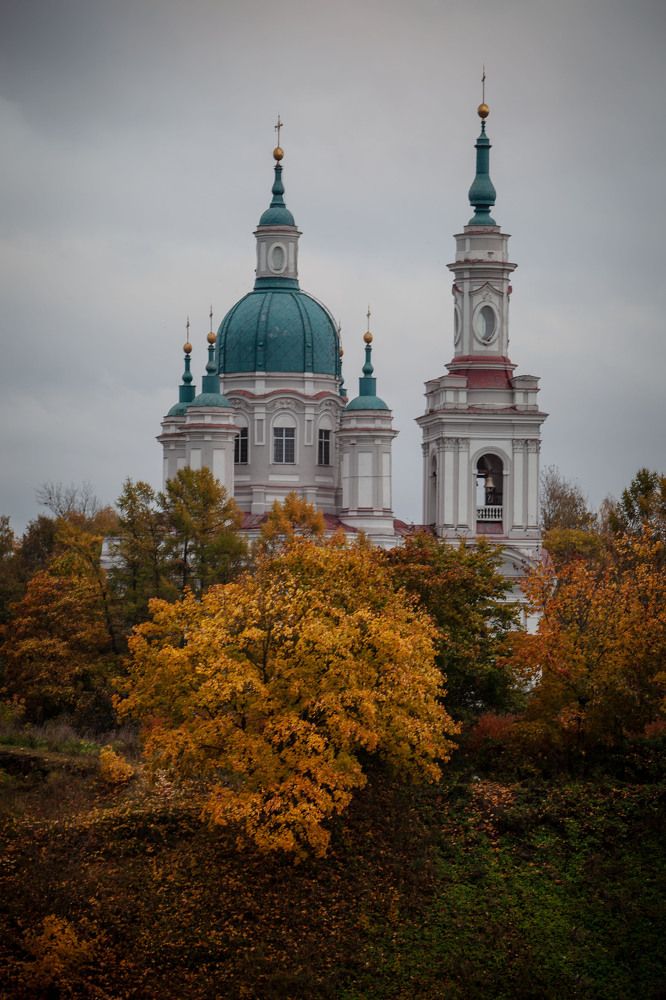 Фотография автора Анна Тихомирова