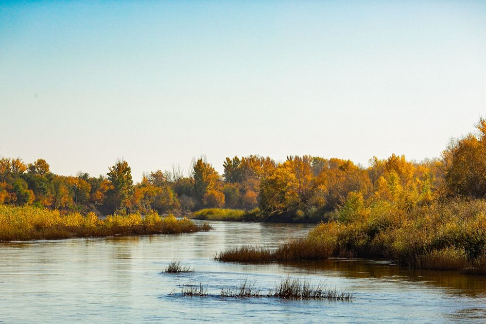 Photograph by Марина Комина