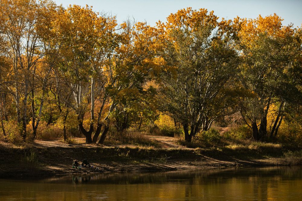 Photograph by Марина Комина