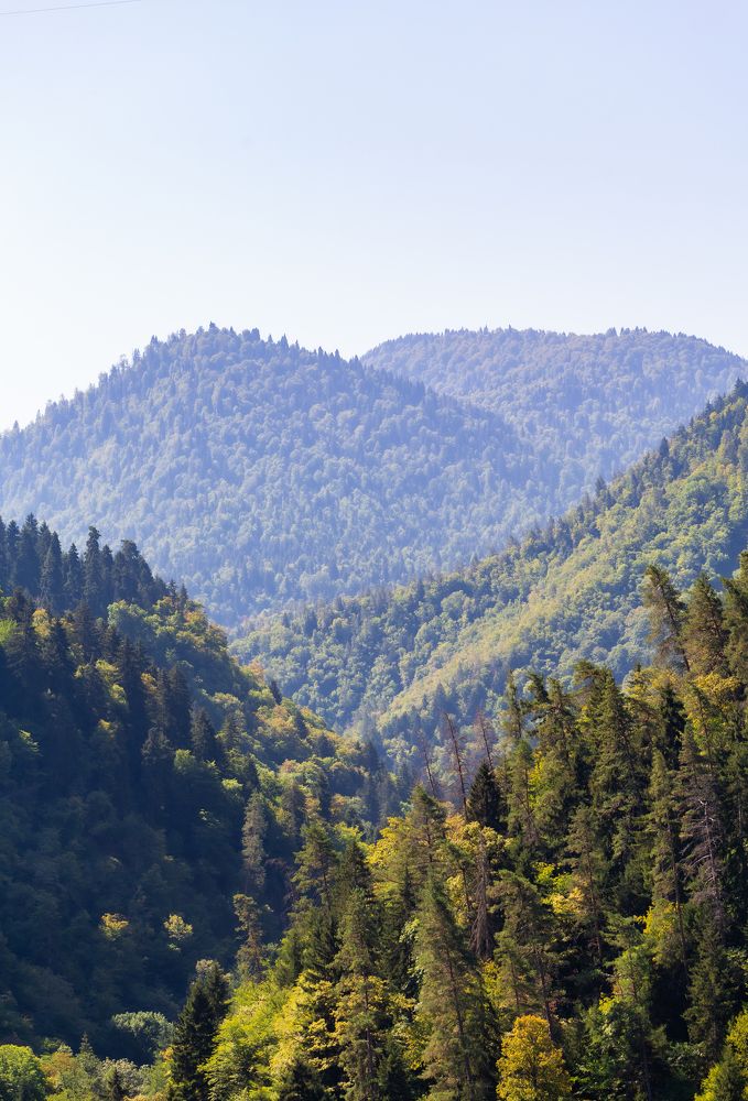 Photograph by Ivan Chestnykh