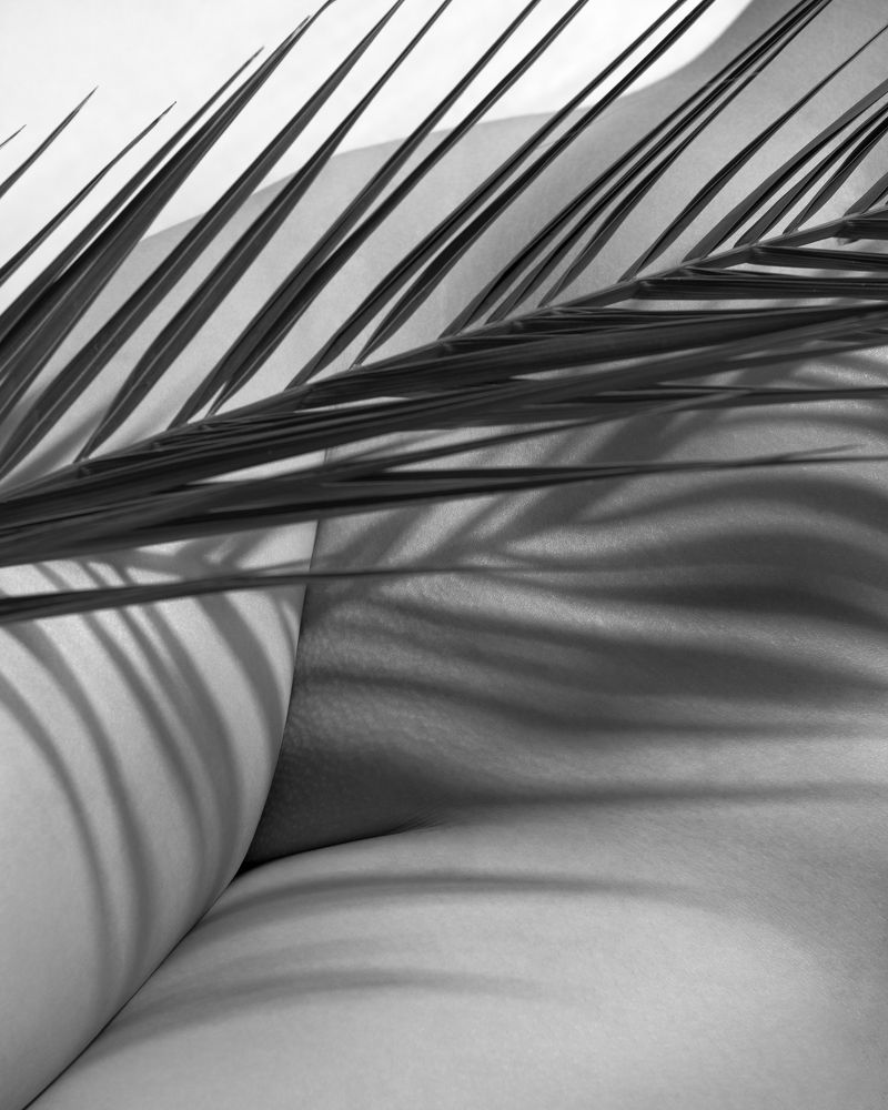 Photograph by  Санан