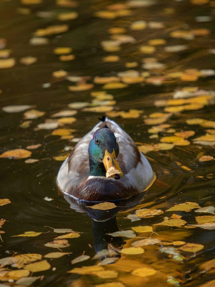 Photograph by Татьяна