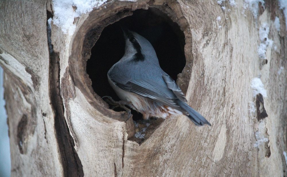 Photograph by Шамина Вера