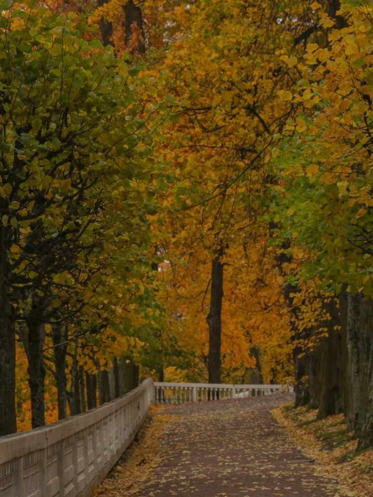 Photograph by Татьяна