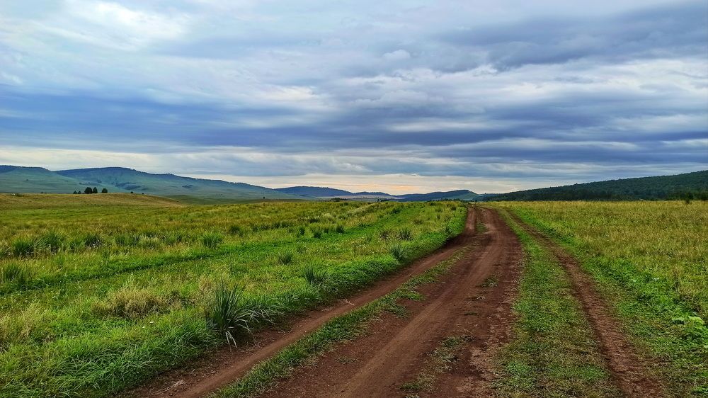 Дорога в степи