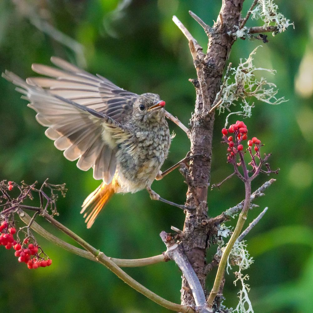 Photograph by Михаил Белоусов