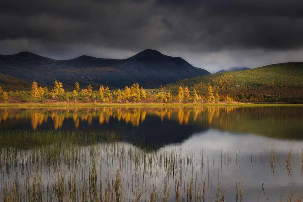 Photograph by Морозов Сергей