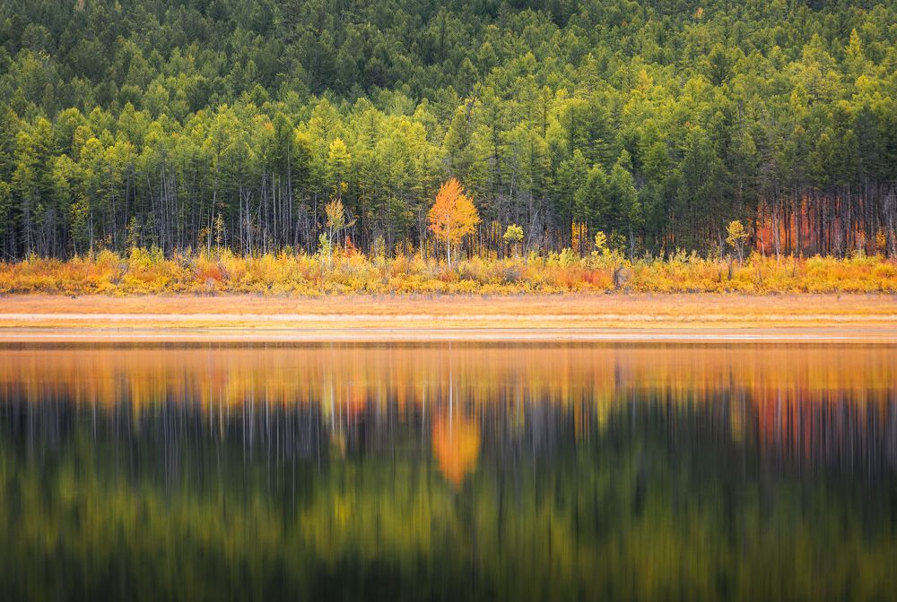 Photograph by Портных Дмитрий