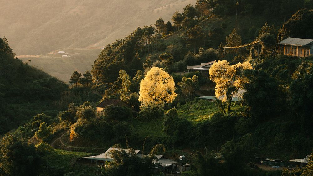 Photograph by PHAN BAO NGOC