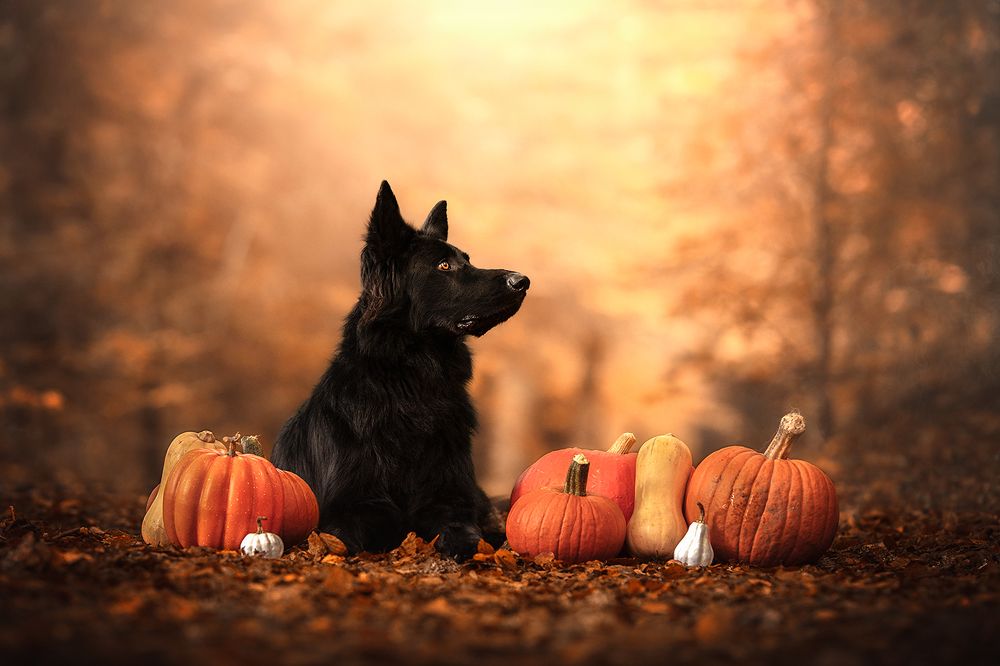 Photograph by Laura Quintanel