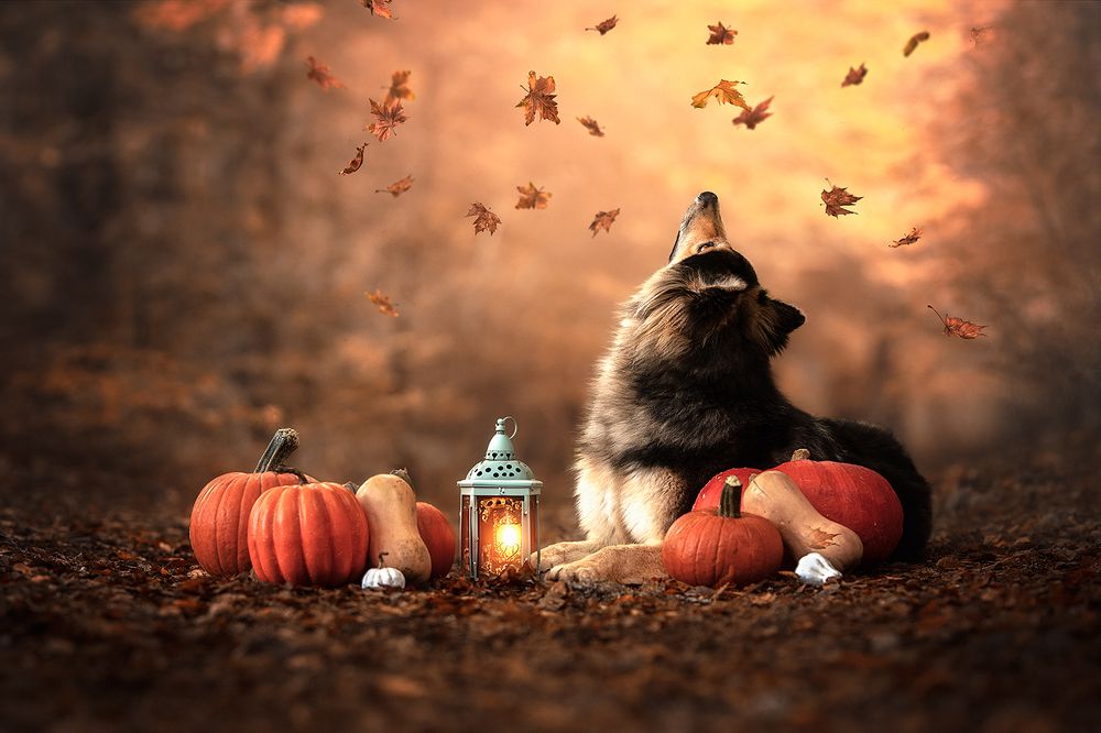 Photograph by Laura Quintanel