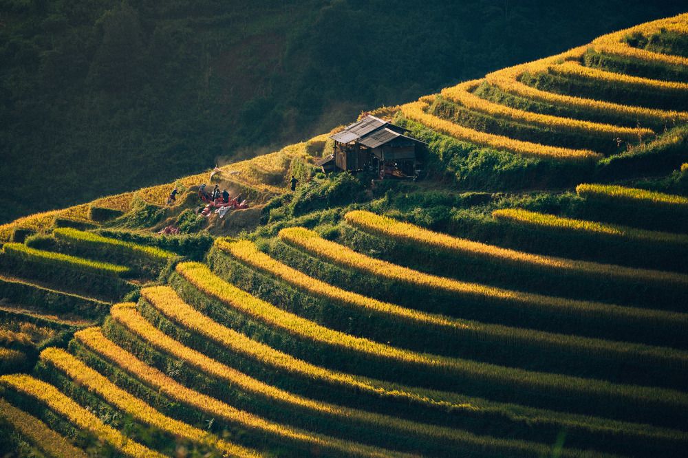 Photograph by PHAN BAO NGOC