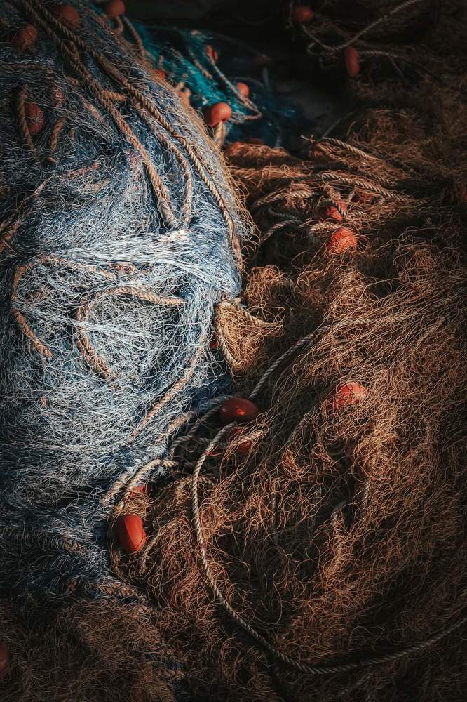 Fishing nets