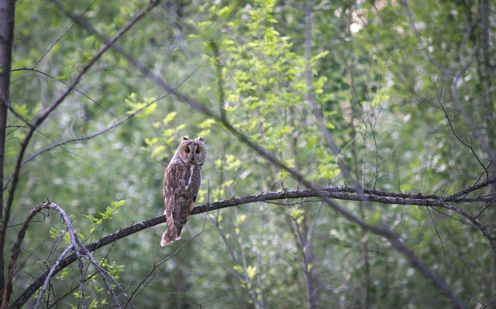 Photograph by Шамина Вера