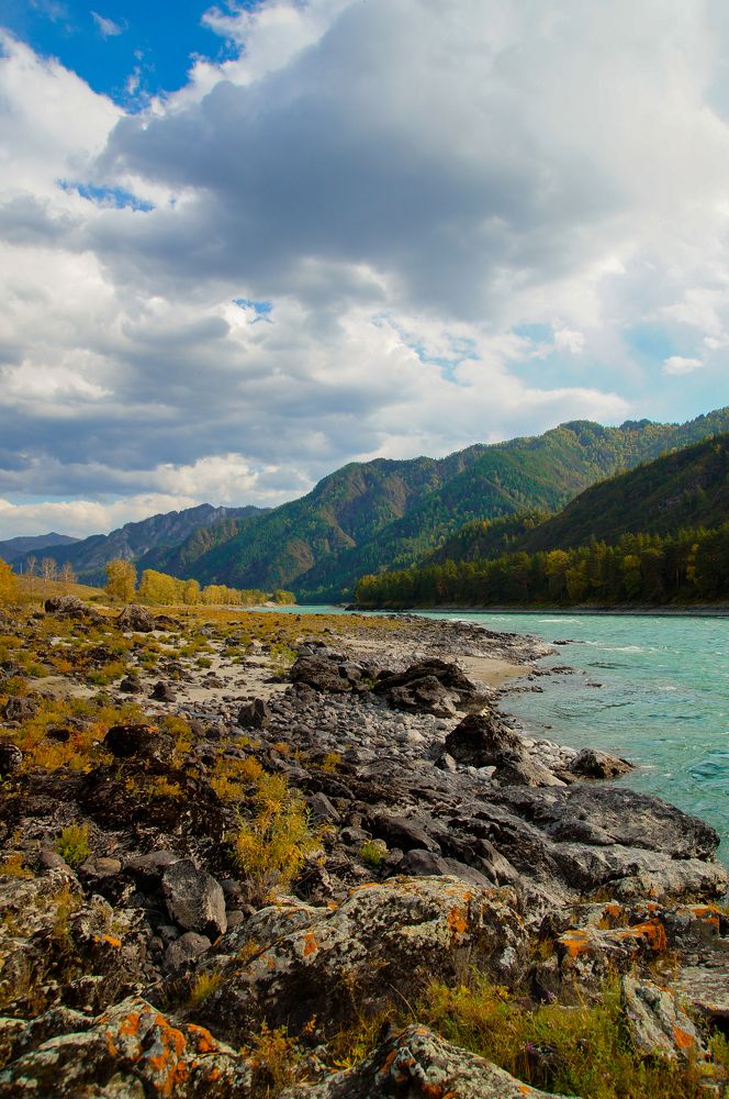 Photograph by Елена Куртукова