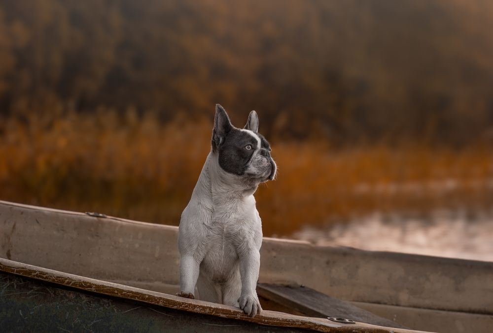 Photograph by Людмила Подольская