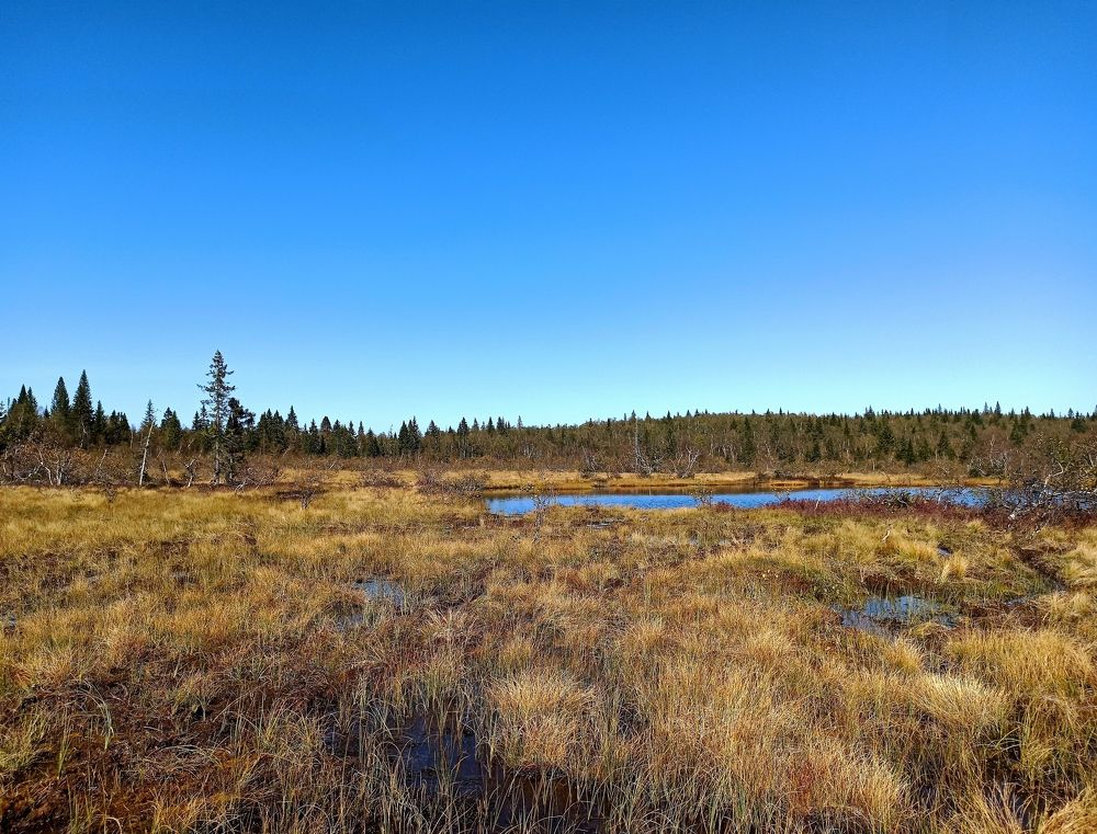 Photograph by Наталья