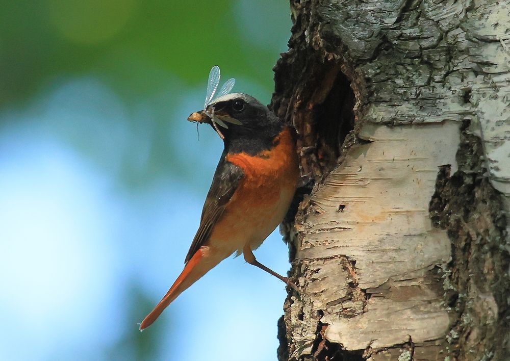 Всё лучшее - детям