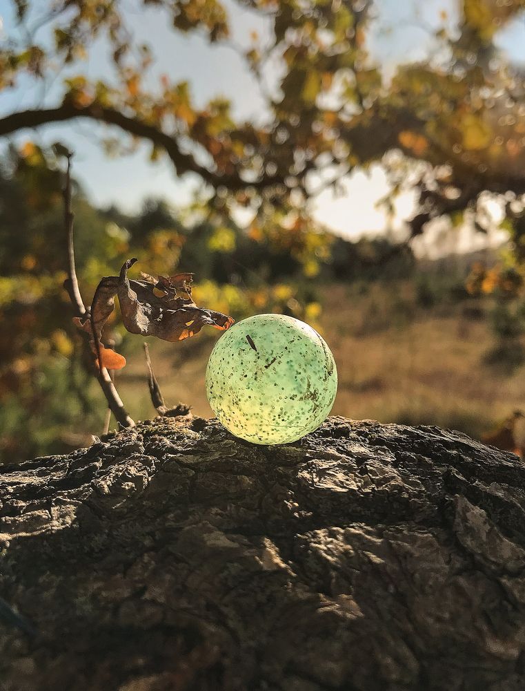 Photograph by Mary Ryzhenkova