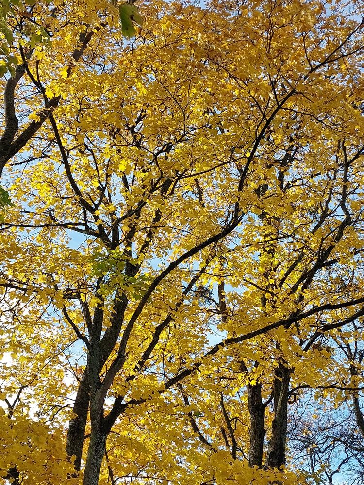 Photograph by Мария