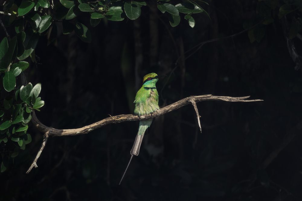 Photograph by Domenico Marrano