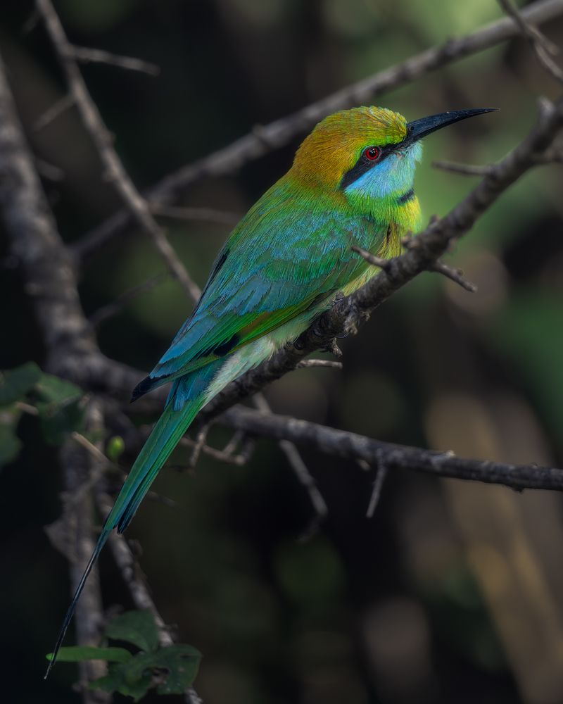 Photograph by Domenico Marrano