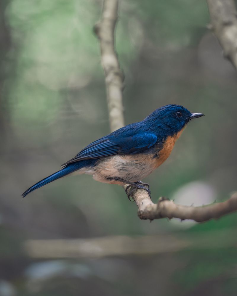 Photograph by Domenico Marrano