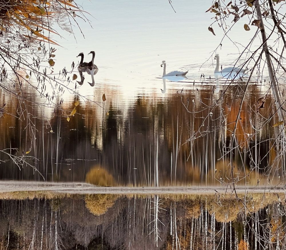 Photograph by Татьяна Михайловна