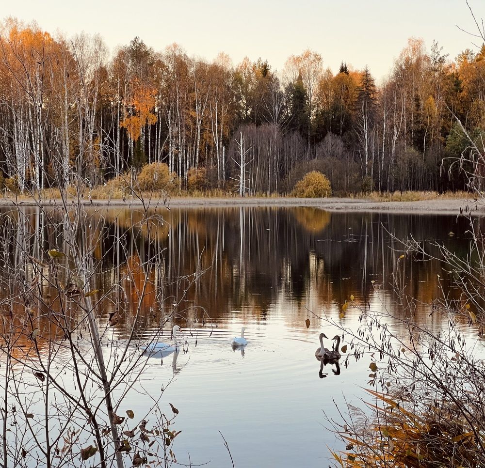 Photograph by Татьяна Михайловна