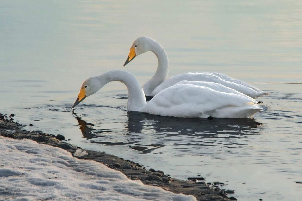 Photograph by Юрий Десятов