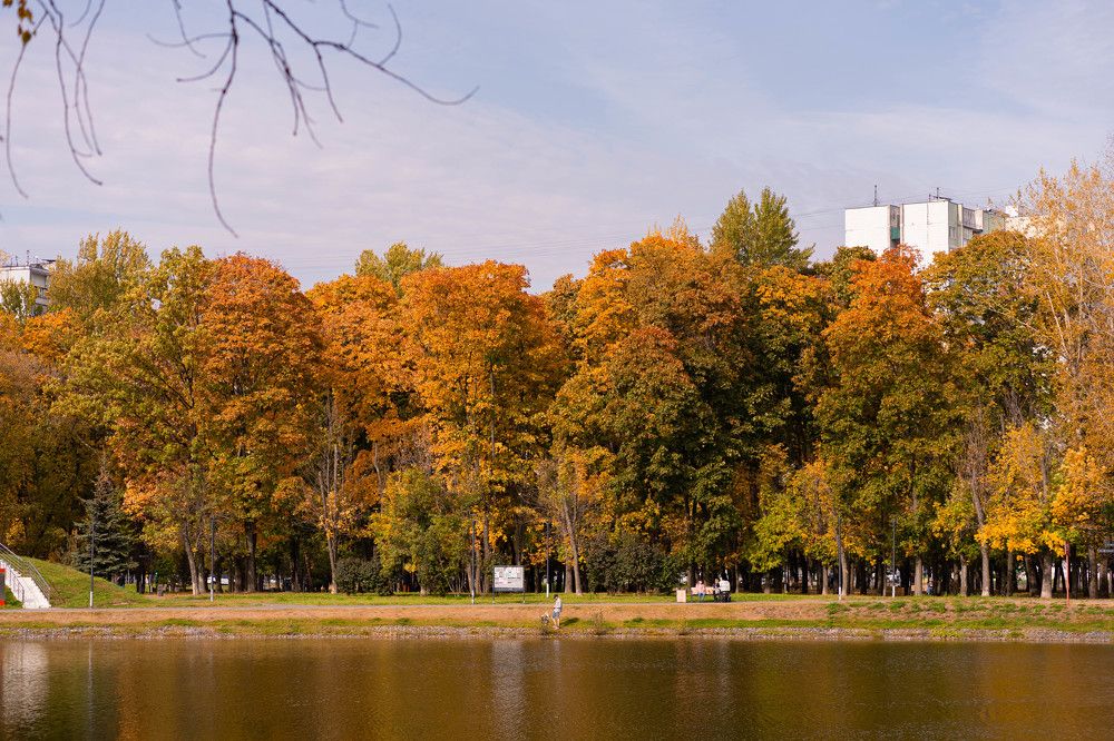 Photograph by Анна Полушина