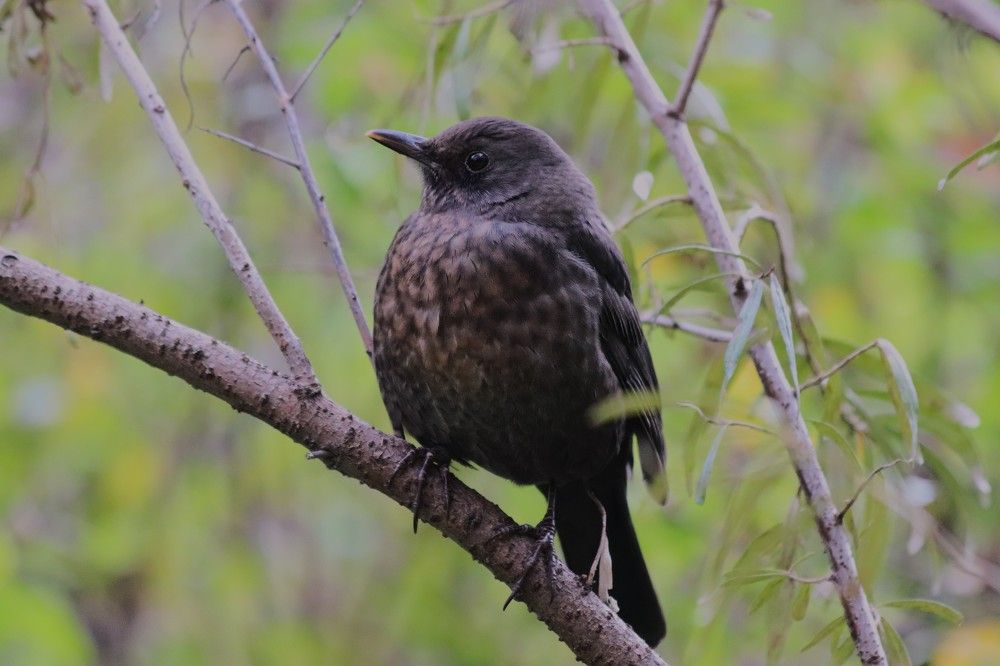 Photograph by Светлана Соколова