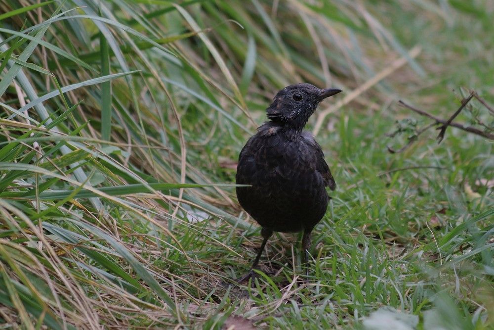 Photograph by Светлана Соколова