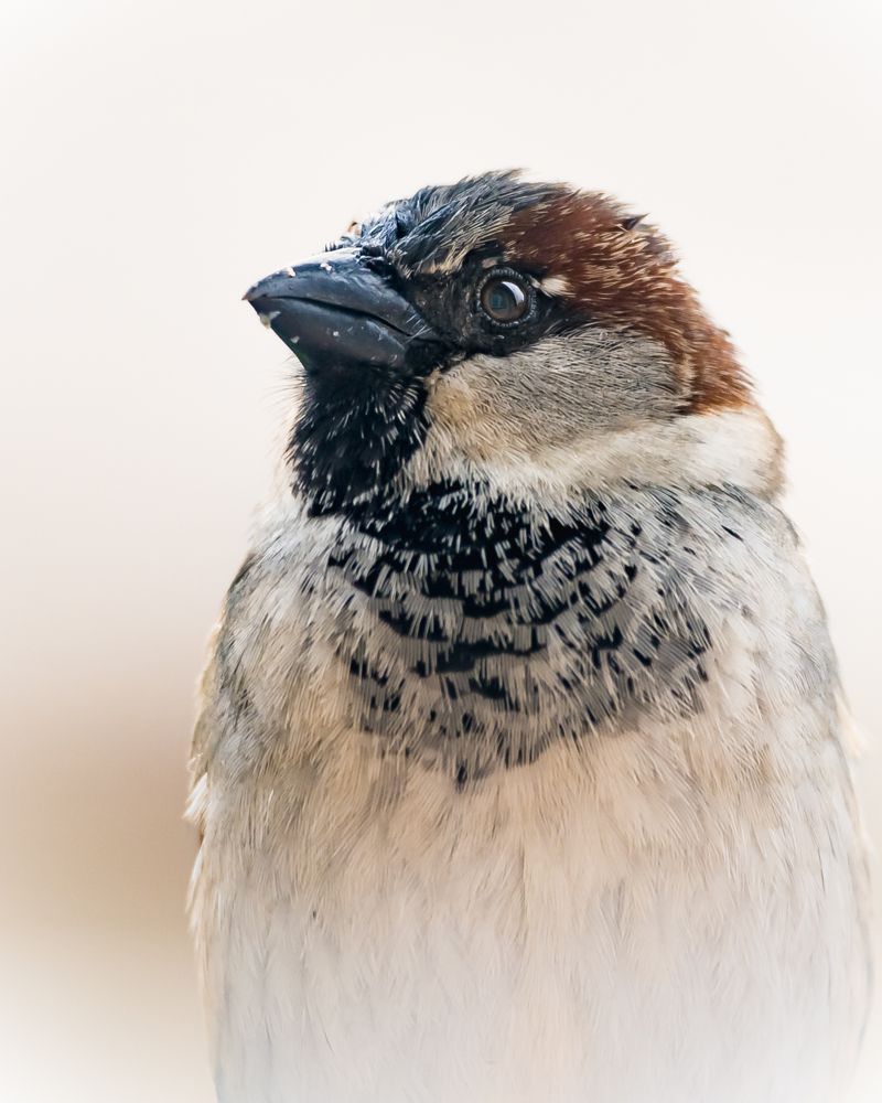 Photograph by Patryk George