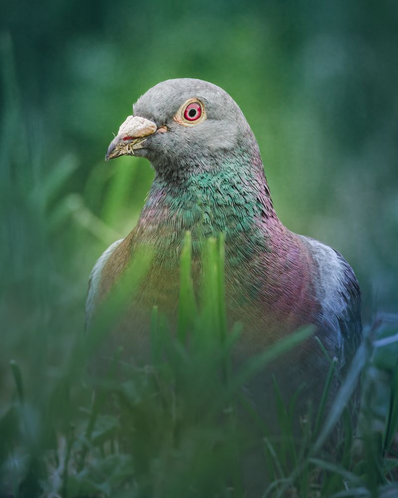 Photograph by Patryk George