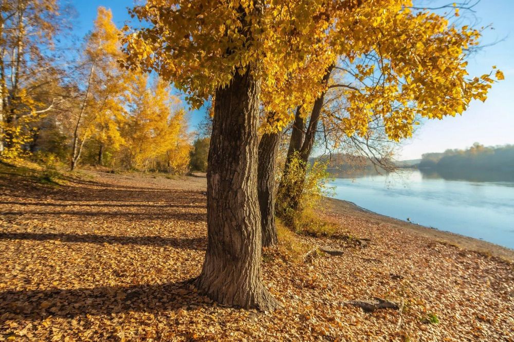 Photograph by Юрий Десятов