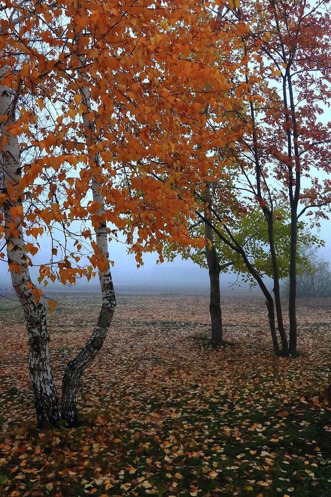 Photograph by Юрий Десятов