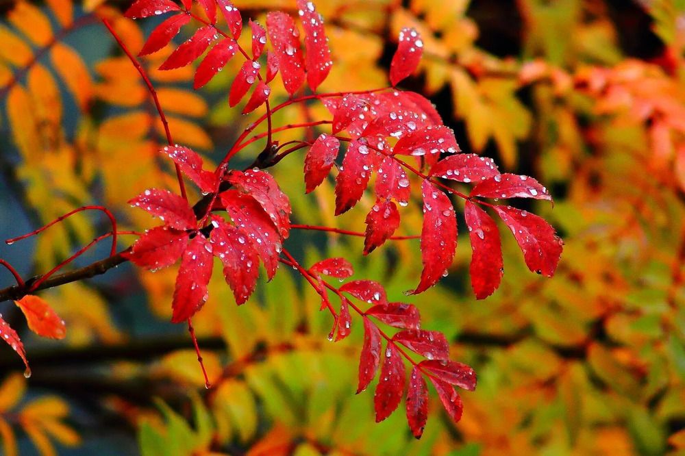 Photograph by Юрий Десятов