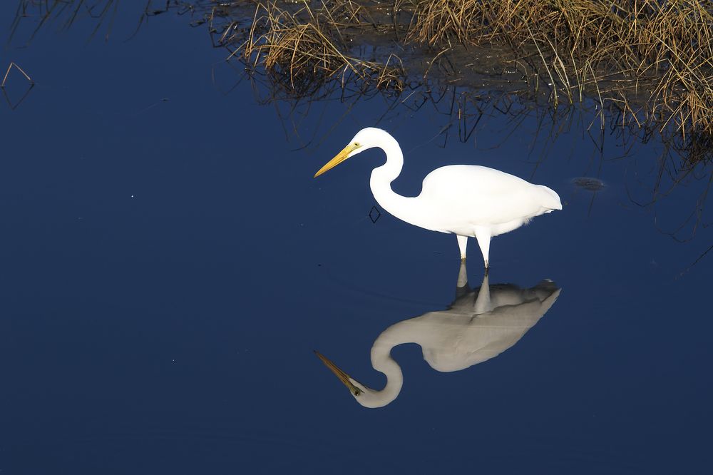 Photograph by  賴清淇