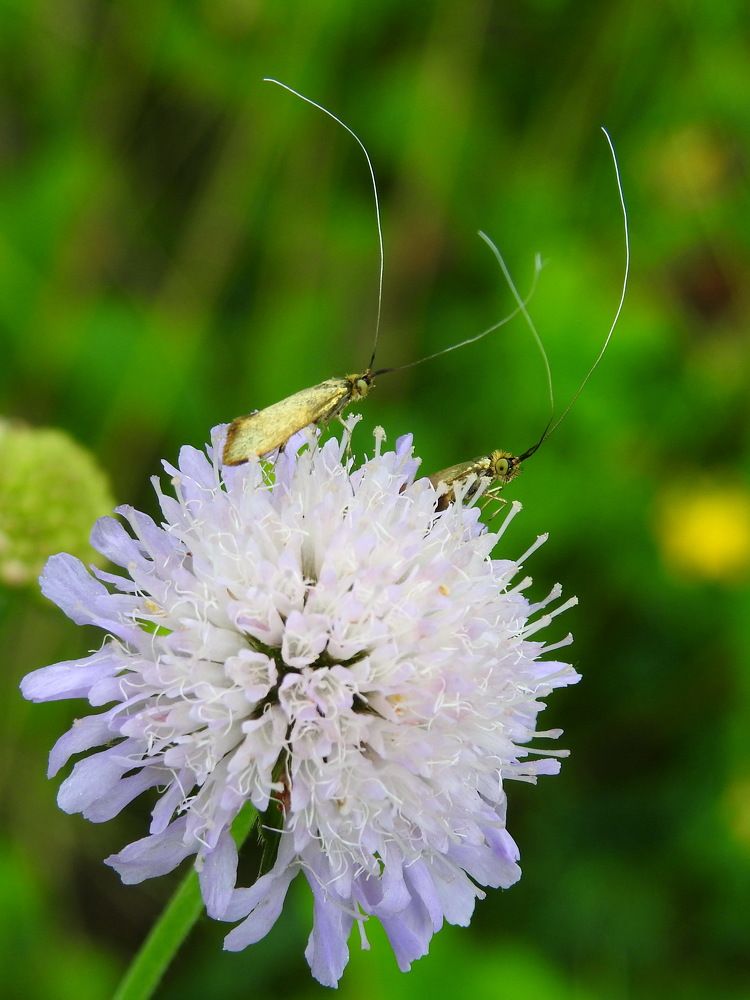 Photograph by Олеся Дейнеко