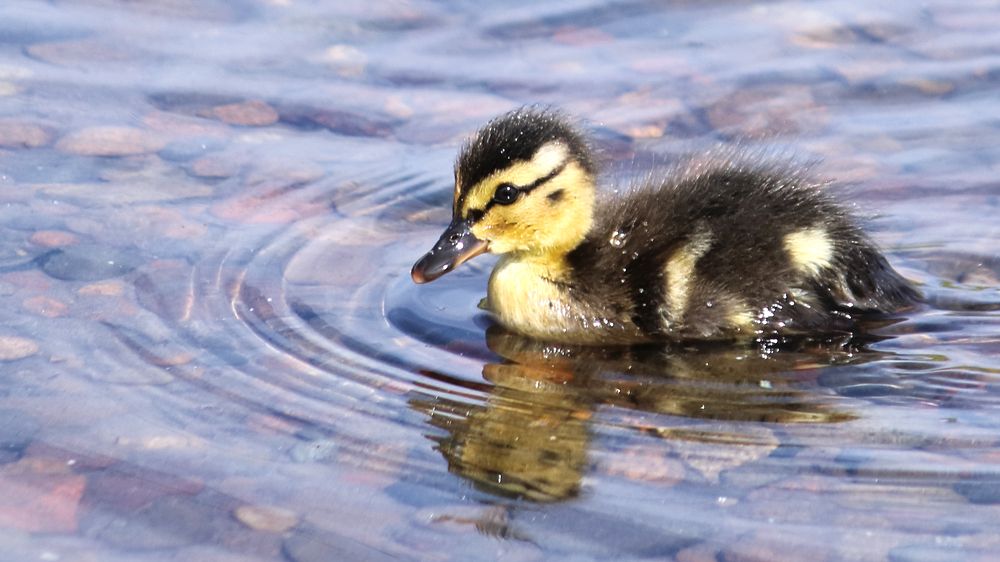 Photograph by Андрей Жильцов