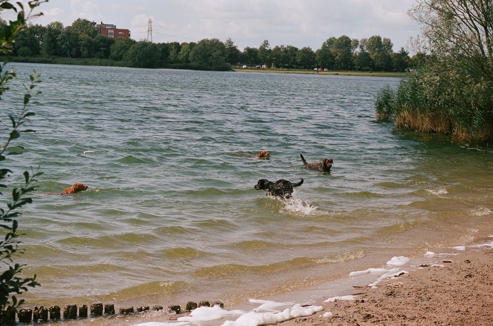 Фотография автора Iuliia Komkova