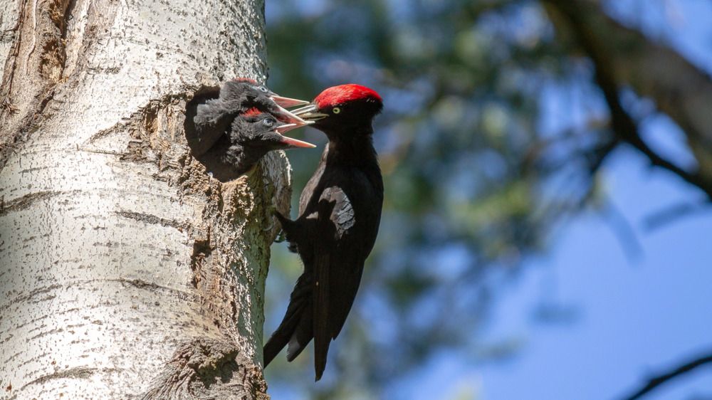 Photograph by Alexander Eliseev
