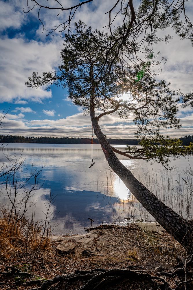 Фотография автора Олег Капуста