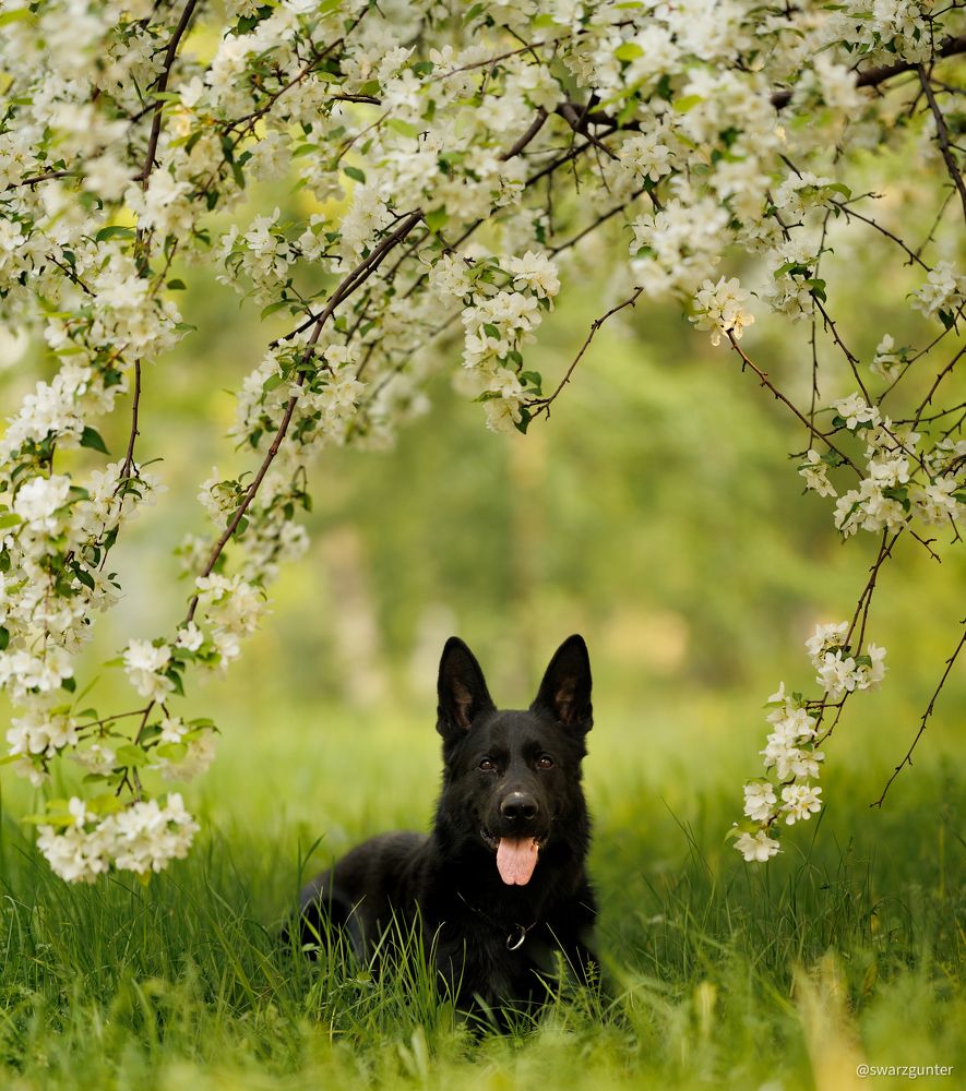 Фотография автора Александр