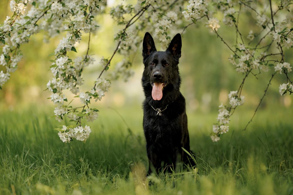 Фотография автора Александр