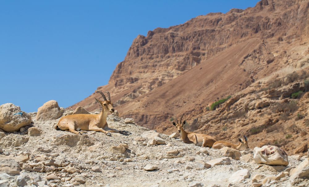 Photograph by Ivan Chestnykh