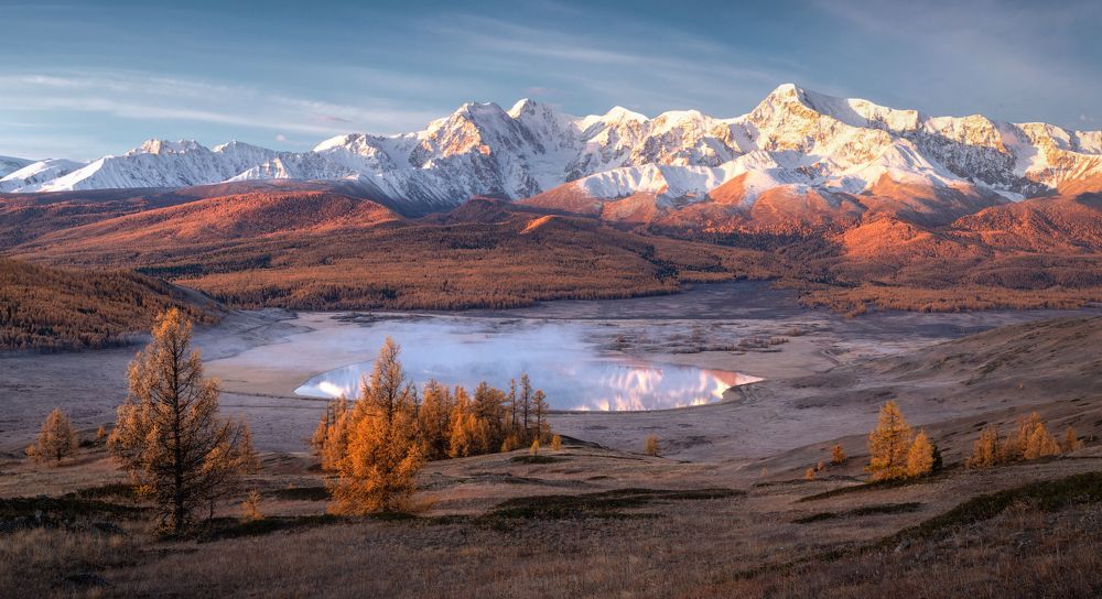 Золото Северо-Чуйских белков