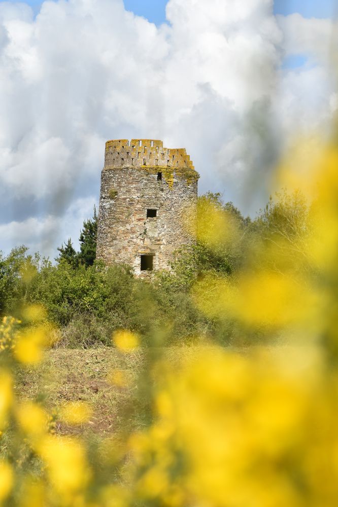 Photograph by Аlina BRAZIUL